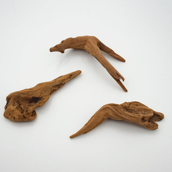 プチ流木3本セット – PINTOオンラインストア