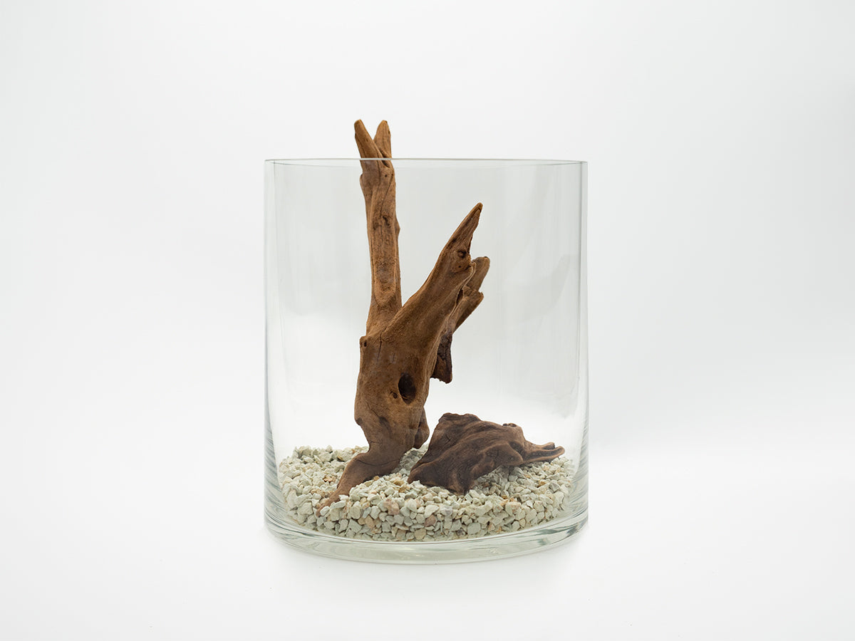 グラスアクアリウムセット – PINTOオンラインストア