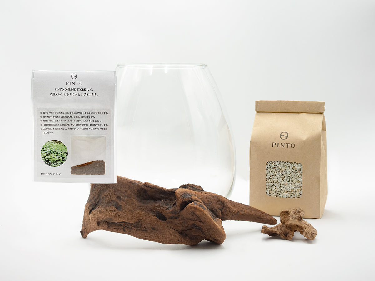 流木指定グラスアクアリウムセット TEAR003 – PINTOオンラインストア