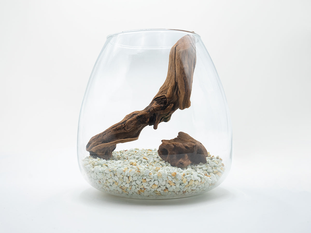 グラスアクアリウムセット – PINTOオンラインストア