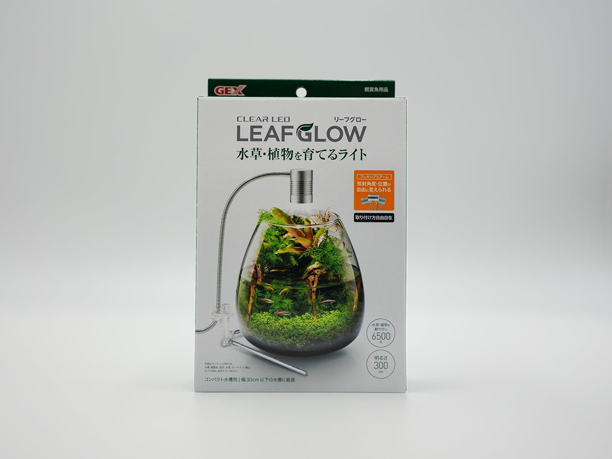 クリアLED リーフグロー – PINTOオンラインストア